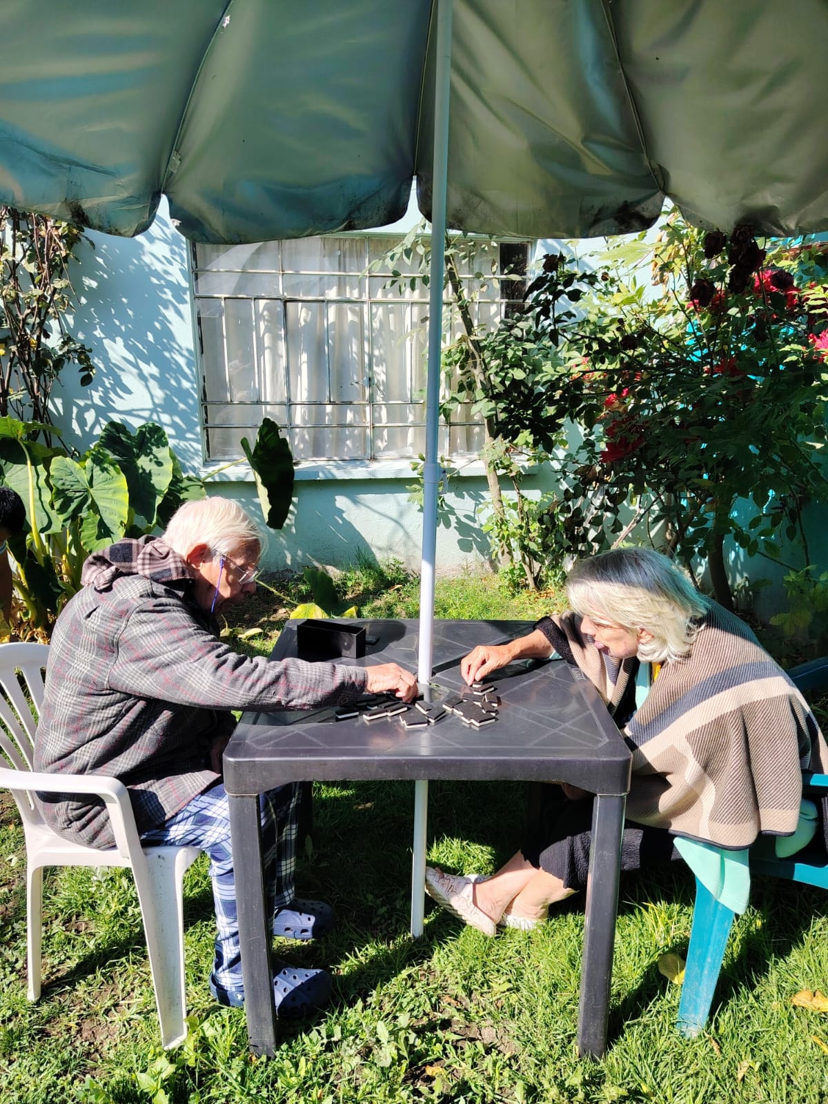 Galería Jardín de Vida